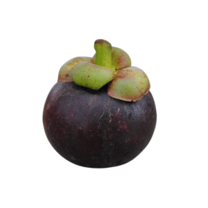 มังคุด